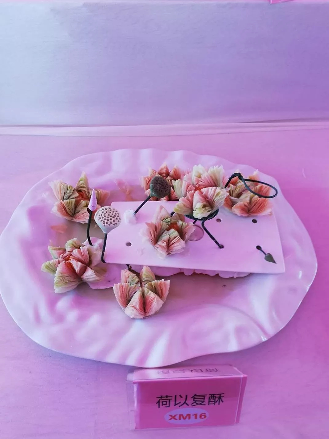 厉害，我校师生12人参加“粤菜师傅”茂名菜烹饪职业技能大赛，12人获奖，把书记、市长都吸引来了！(图33)